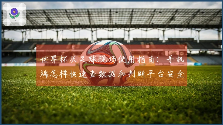 世界杯买足球现场使用指南：手机端怎样快速查数据和判断平台安全