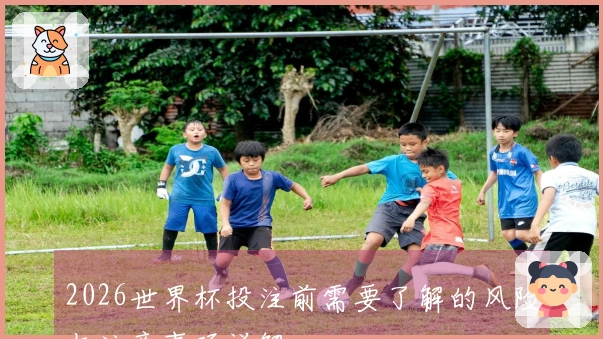 2026世界杯投注前需要了解的风险与注意事项详解