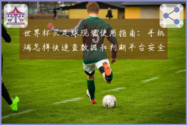 世界杯买足球现场使用指南：手机端怎样快速查数据和判断平台安全